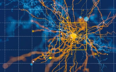 Automated quality assurance with MVTec HALCON’s Anomaly Detection – using the food industry as an example